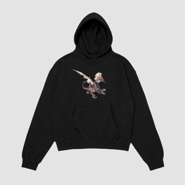 Bluza z kapturem Smok C00101