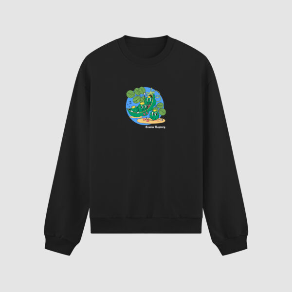 Bluza bez kaptura Groszek C00152