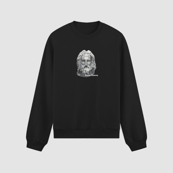 Bluza bez kaptura Marmur Głowa C00162