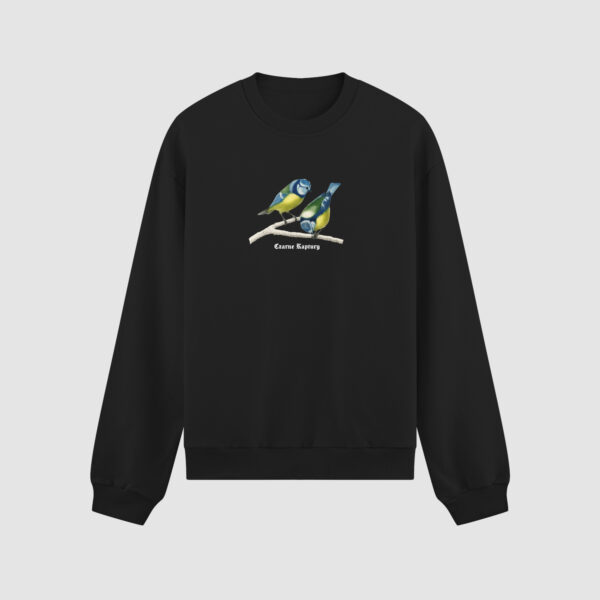 Bluza bez kaptura Ptaki C00165
