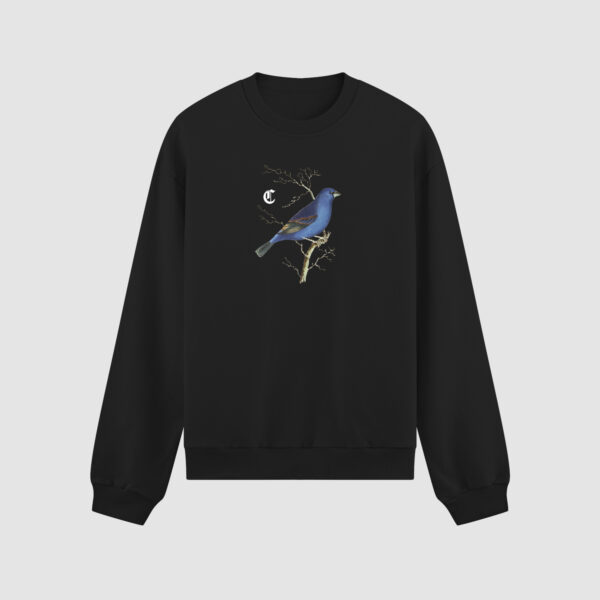 Bluza bez kaptura Ptak C00193