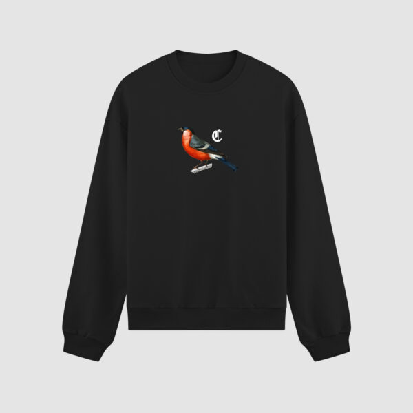 Bluza bez kaptura Ptak C00219