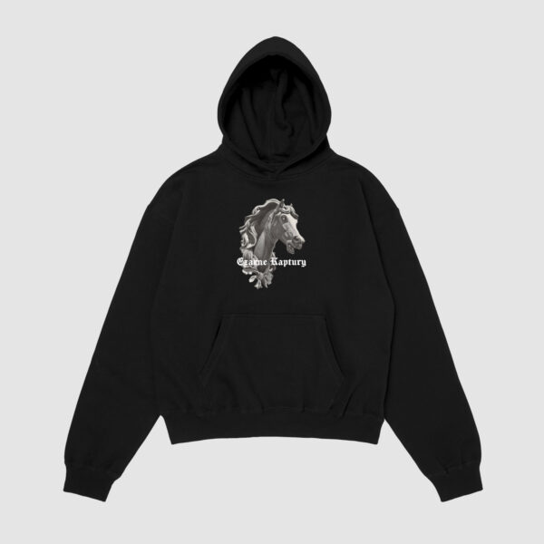 Bluza z kapturem Koń C00159