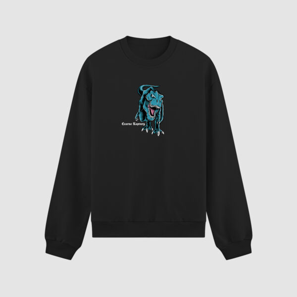 Bluza bez kaptura Dinozaur C00447