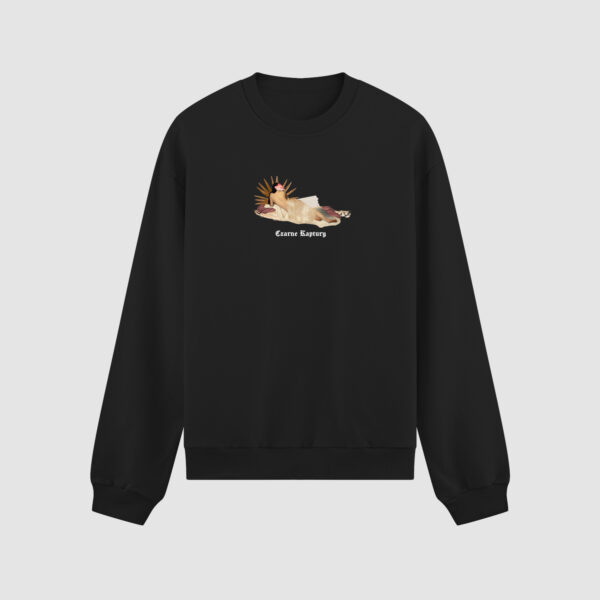 Bluza bez kaptura Sztuka Kobieta C00335