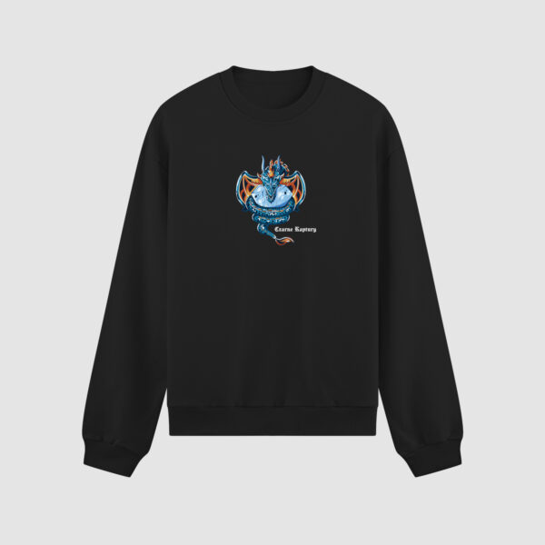 Bluza bez kaptura Smok C00508
