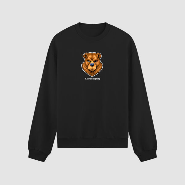 Bluza bez kaptura Miś C00516