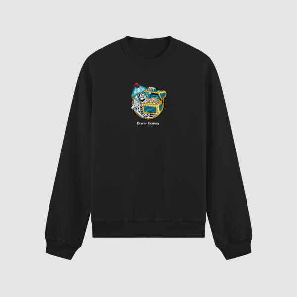 Bluza bez kaptura Pirat Skarb Diamenty C00518