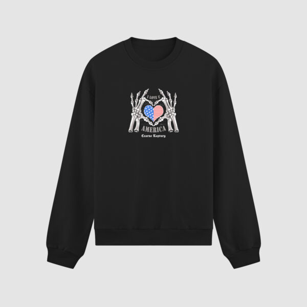 Bluza bez kaptura Ameryka C00590