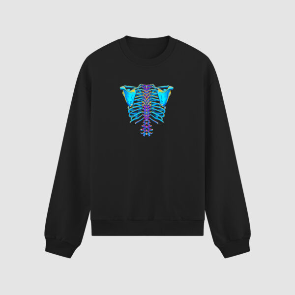 Bluza bez kaptura Żebra C00643