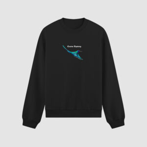 Bluza bez kaptura Niebieski Ptak C00355