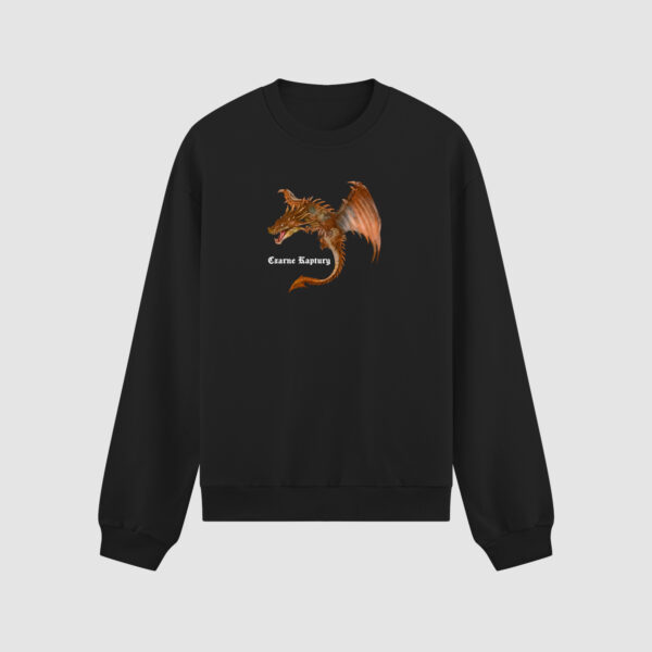 Bluza bez kaptura Smok C00321