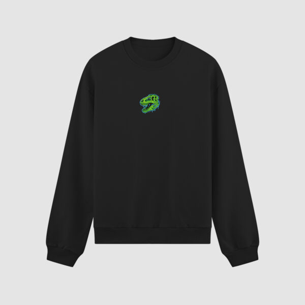 Bluza bez kaptura Dinozaur C00728
