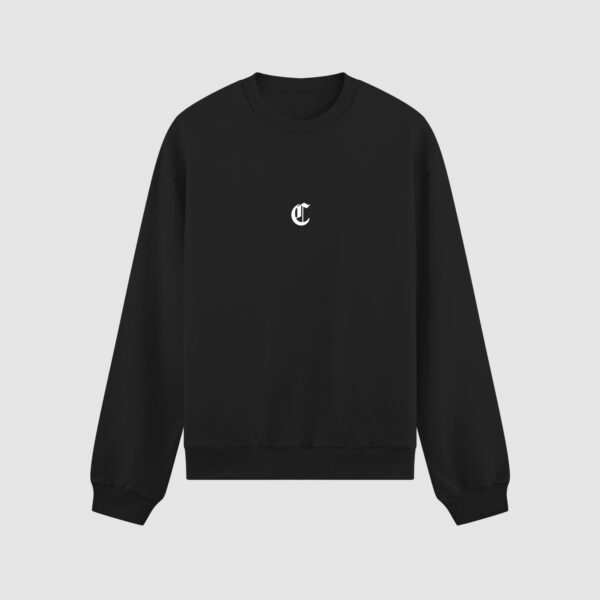 Bluza bez kaptura Mini Logo C00798