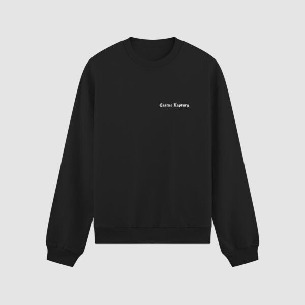Bluza bez kaptura Klasyczne Logo C00801