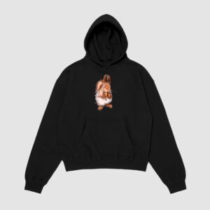 Bluza z kapturem Wiewiórka C00419