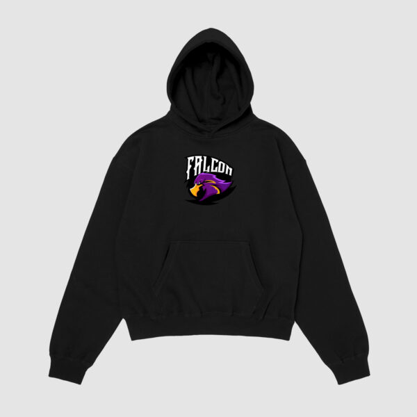 Bluza z kapturem Falcon Ptak C00551